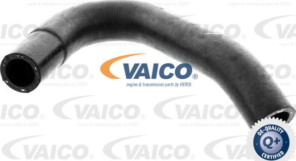 VAICO V40-2000 - Radiator şlanqı furqanavto.az