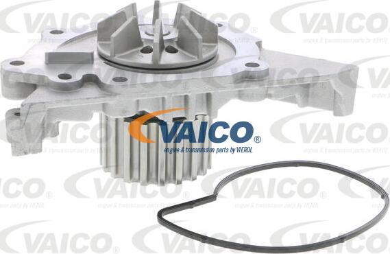VAICO V42-50000 - Su nasosu furqanavto.az