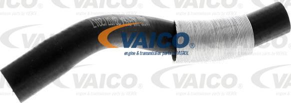 VAICO V42-0564 - Doldurucu qəbuledici hava şlanqı furqanavto.az