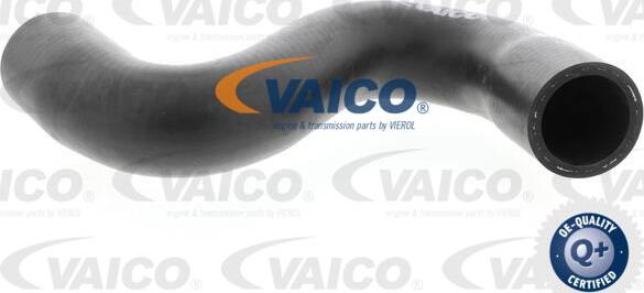 VAICO V42-0635 - Radiator şlanqı furqanavto.az