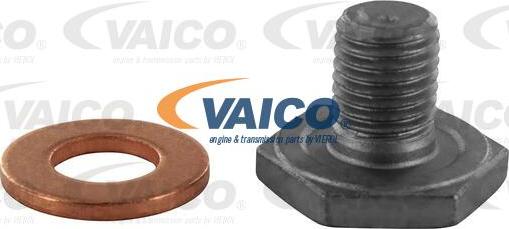 VAICO V42-0258 - Möhürləyici tıxac, yağ çəni furqanavto.az
