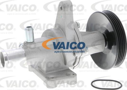 VAICO V51-50005 - Su nasosu furqanavto.az