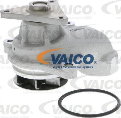 VAICO V53-50006 - Su nasosu furqanavto.az