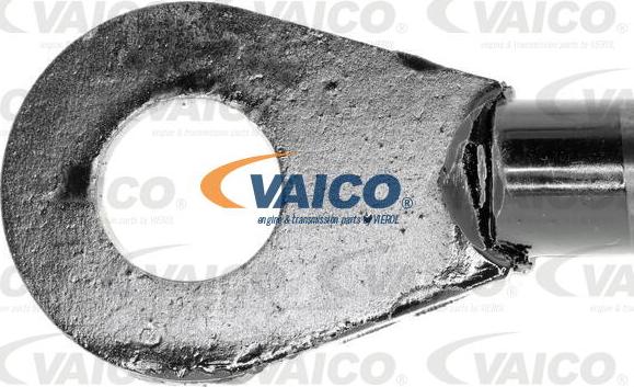 VAICO V52-0065 - Qazlı bulaq, baqaj, yük yeri furqanavto.az