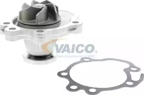VAICO V64-50006 - Su nasosu furqanavto.az
