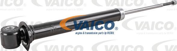 VAICO V10-4997 - Amortizator furqanavto.az