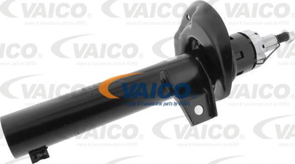 VAICO V10-4955 - Amortizator furqanavto.az