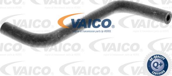 VAICO V10-4661 - Radiator şlanqı furqanavto.az