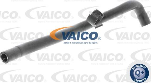 VAICO V10-4680 - Radiator şlanqı furqanavto.az
