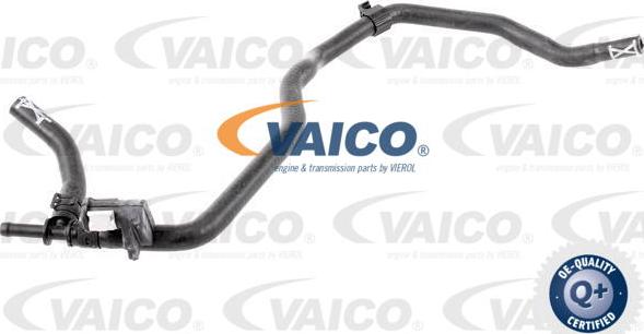 VAICO V10-4681 - Radiator şlanqı furqanavto.az