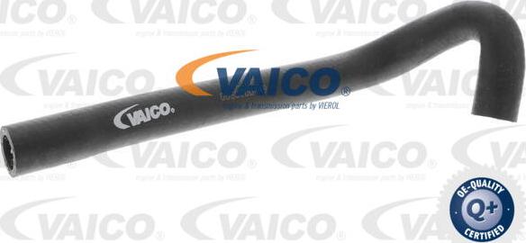 VAICO V10-4673 - Radiator şlanqı furqanavto.az