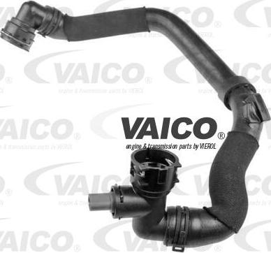 VAICO V10-4312 - Radiator şlanqı furqanavto.az