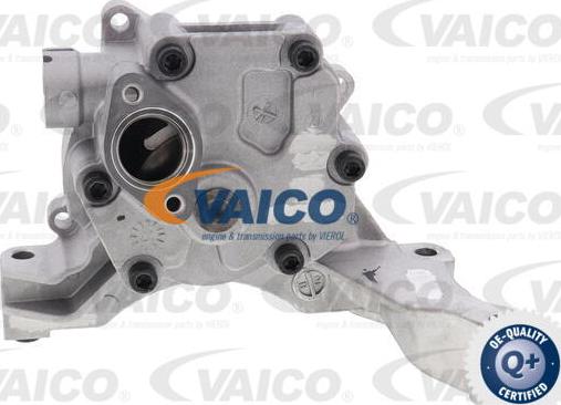 VAICO V10-4262 - Yağ nasosu furqanavto.az