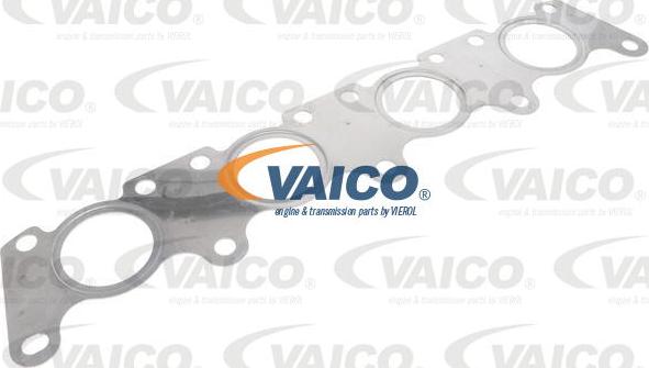 VAICO V10-5094 - Conta, egzoz manifoldu furqanavto.az