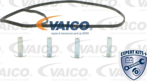 VAICO V10-50094 - Su nasosu furqanavto.az