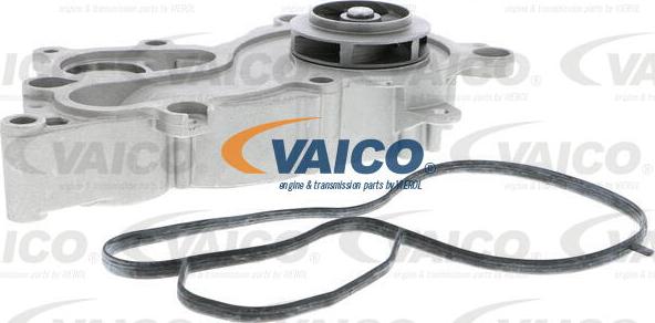 VAICO V10-50093 - Su nasosu furqanavto.az