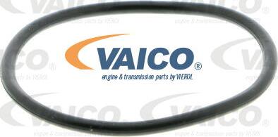 VAICO V10-50056-1 - Su nasosu furqanavto.az
