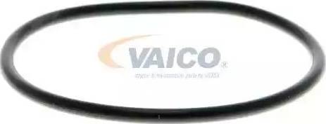 VAICO V10-50058-1 - Su nasosu furqanavto.az