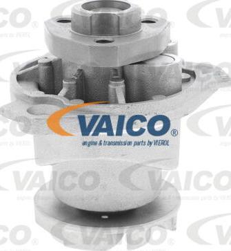 VAICO V10-50058 - Su nasosu furqanavto.az