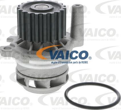 VAICO V10-50052 - Su nasosu furqanavto.az