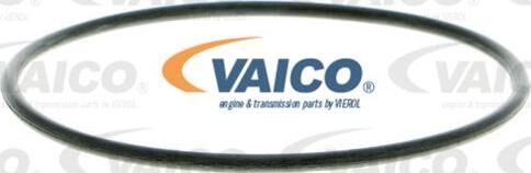 VAICO V10-50060-1 - Su nasosu furqanavto.az