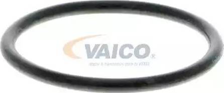 VAICO V10-50062 - Su nasosu furqanavto.az