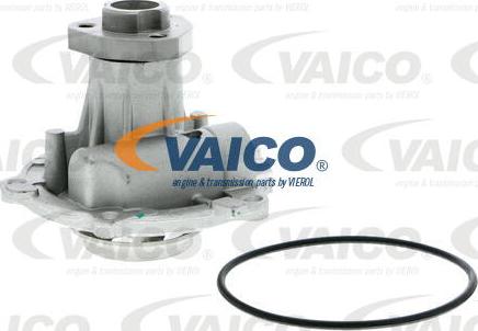 VAICO V10-50009 - Su nasosu furqanavto.az