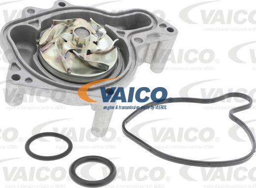 VAICO V10-50006 - Su nasosu furqanavto.az