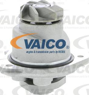 VAICO V10-50010 - Su nasosu furqanavto.az