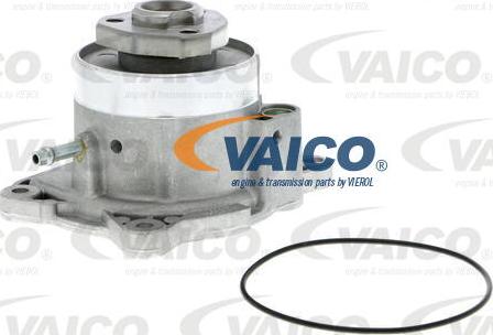 VAICO V10-50081 - Su nasosu furqanavto.az