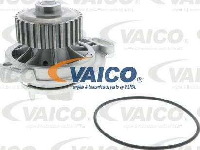 VAICO V10-50031 - Su nasosu furqanavto.az