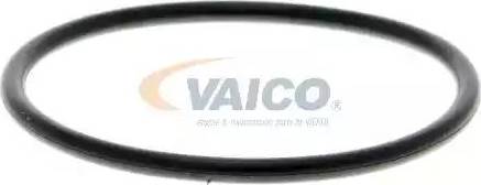 VAICO V10-50033-1 - Su nasosu furqanavto.az