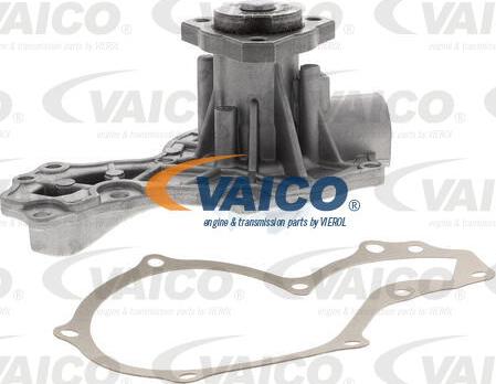VAICO V10-50029 - Su nasosu furqanavto.az