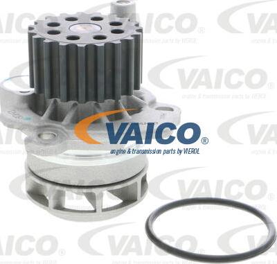 VAICO V10-50073-1 - Su nasosu furqanavto.az