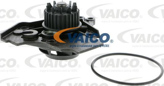 VAICO V10-50072 - Su nasosu furqanavto.az