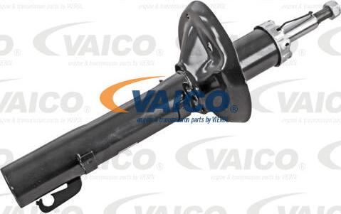 VAICO V10-5088 - Amortizator furqanavto.az