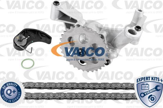 VAICO V10-5833 - Zəncir dəsti, yağ nasosunun sürücüsü furqanavto.az