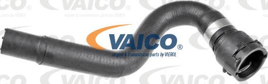 VAICO V10-5731 - Radiator şlanqı furqanavto.az