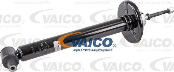 VAICO V10-6441 - Amortizator furqanavto.az