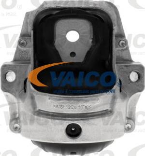 VAICO V10-6480 - Tutacaq, mühərrik montajı furqanavto.az