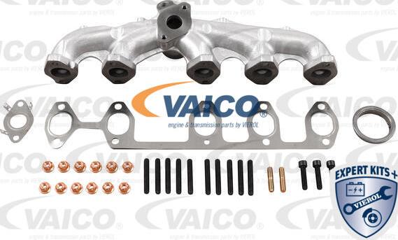 VAICO V10-6555 - Manifold, egzoz sistemi furqanavto.az