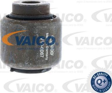 VAICO V10-6067 - Nəzarət Kolu / Arxa Qol furqanavto.az