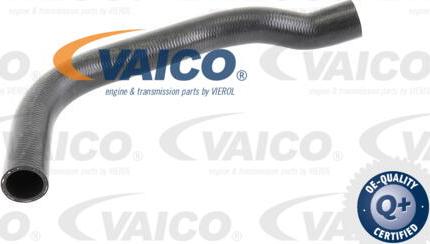 VAICO V10-0056 - Radiator şlanqı furqanavto.az