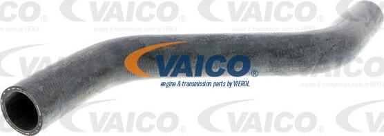 VAICO V10-0053 - Radiator şlanqı furqanavto.az