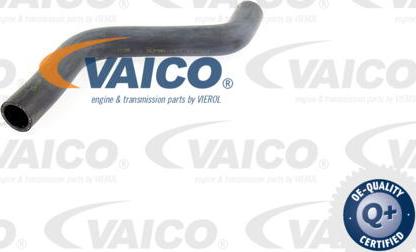 VAICO V10-0060 - Radiator şlanqı furqanavto.az