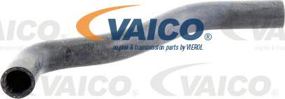 VAICO V10-0061 - Radiator şlanqı furqanavto.az