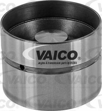 VAICO V10-0161-1 - Tappet / Rokçu furqanavto.az