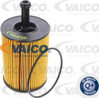 VAICO V10-0391 - Yağ filtri furqanavto.az
