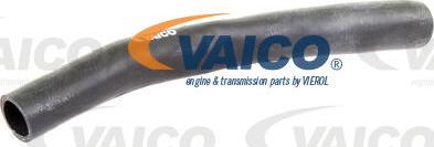 VAICO V10-0366 - Radiator şlanqı furqanavto.az