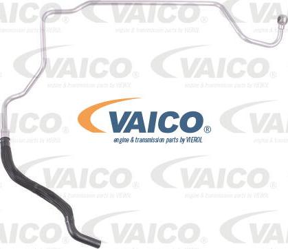 VAICO V10-1748 - Hidravlik şlanq, sükan sistemi furqanavto.az